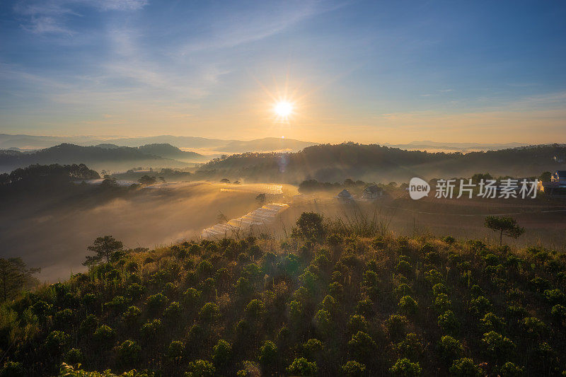 咖啡农场山上的日出