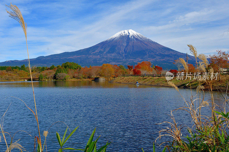 秋叶色的富士山:静冈县富士宫的景色