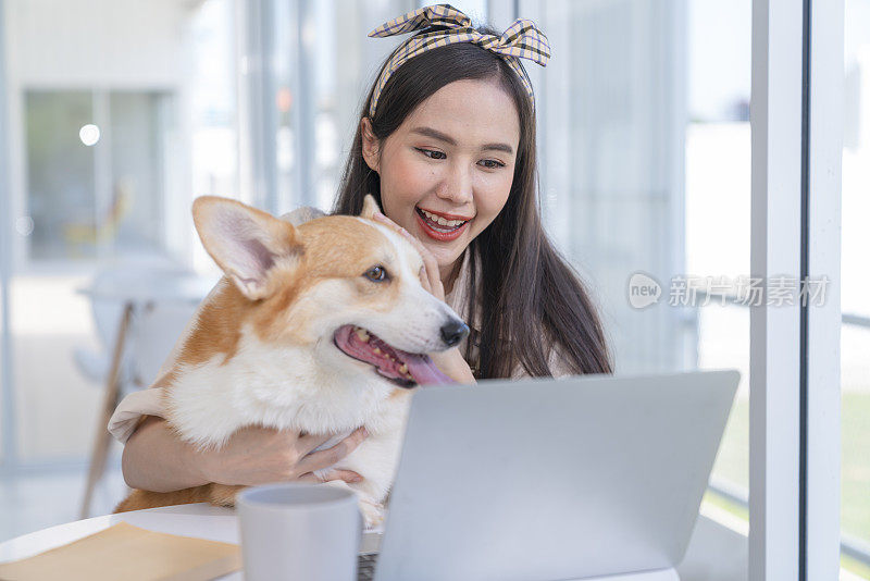 吸引人的亚洲年轻女子狗主人看着笔记本电脑视频呼叫微笑与柯基狗小狗小狗在狗咖啡馆与愉快和幸福快乐，动物爱好者的概念