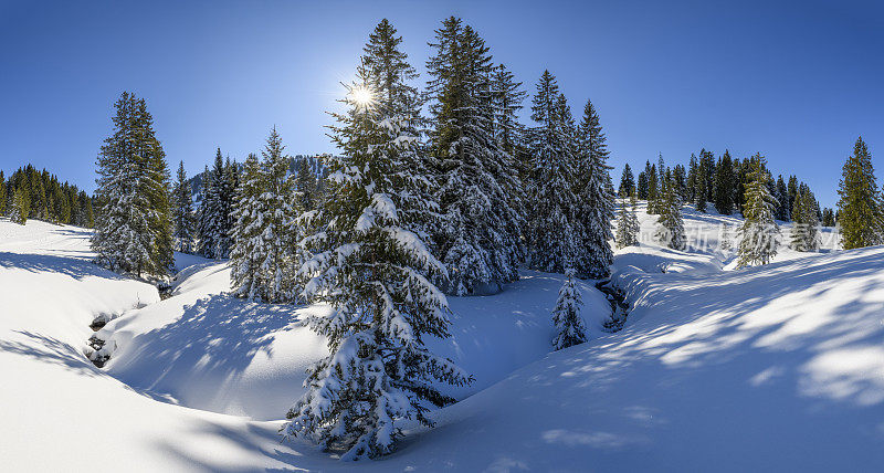 冬季的景观有白雪覆盖的森林和一条小河