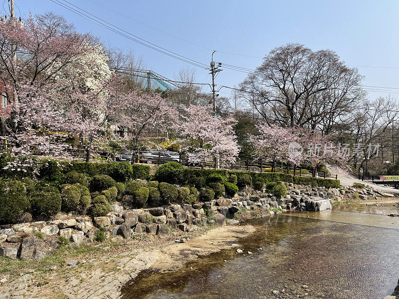 四月在果川市