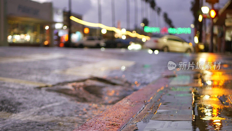 雨天道路上反射的灯光。棕榈树和降雨，加利福尼亚。