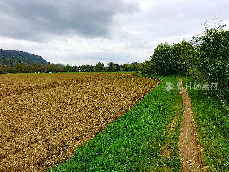 苏格兰高地