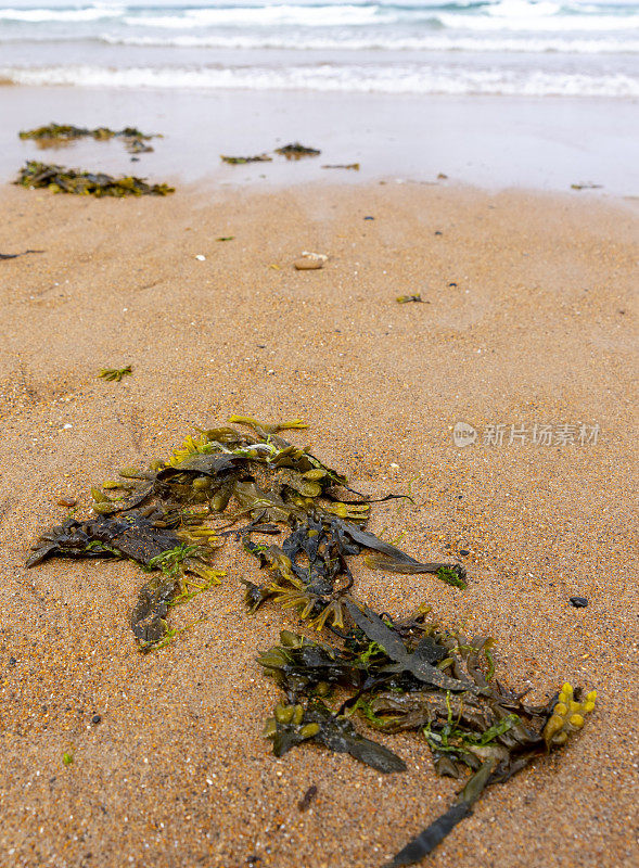 西顿水闸海滩上的海浪