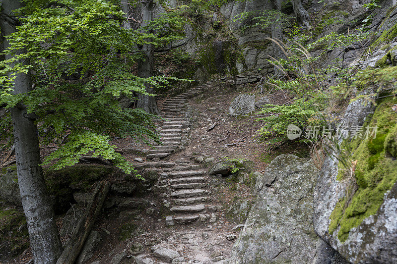 山林中的阶梯