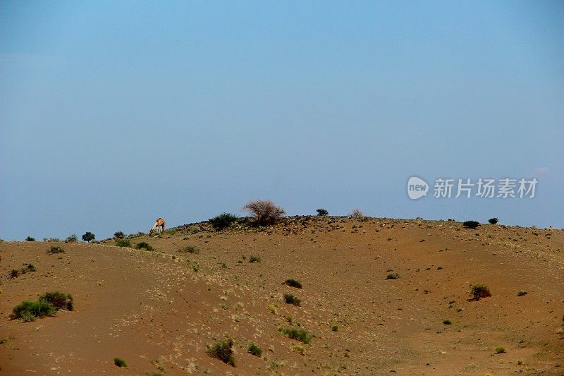 阿曼——阿曼靠近马斯卡特的山和沙漠