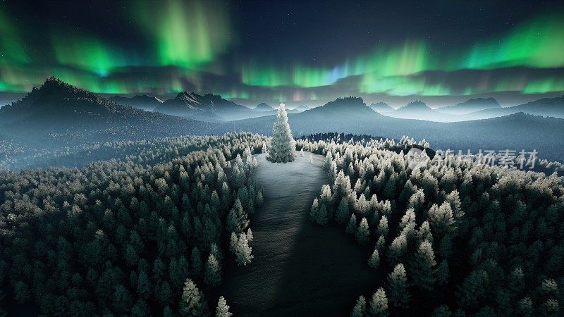 在冬季森林的山上，映衬着北极光的天空，闪耀着圣诞树