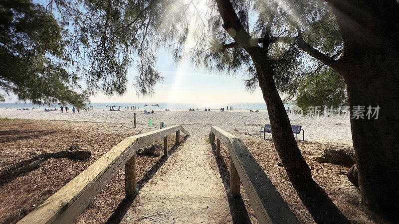 热带沙质岛屿海滩的步道和阳光明媚的蓝天上的沙滩伞