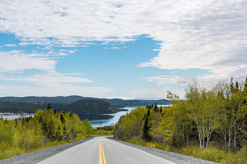 加拿大纽芬兰和拉布拉多特雷镇NL-310高速公路的景色