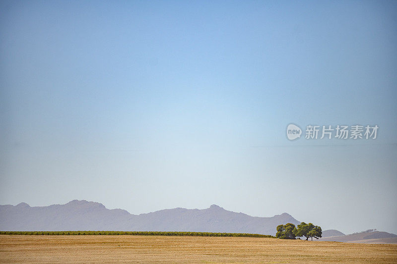 斯沃特兰场景