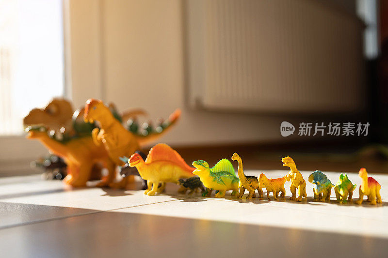 恐龙玩具排成一排