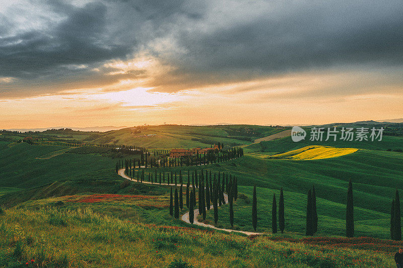 托斯卡纳起伏的风景