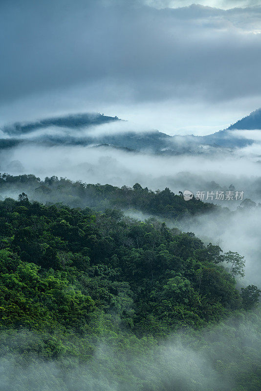 雾蒙蒙的丛林雨林与雾和层层叠叠的山脉从日出之前。鸟瞰图。