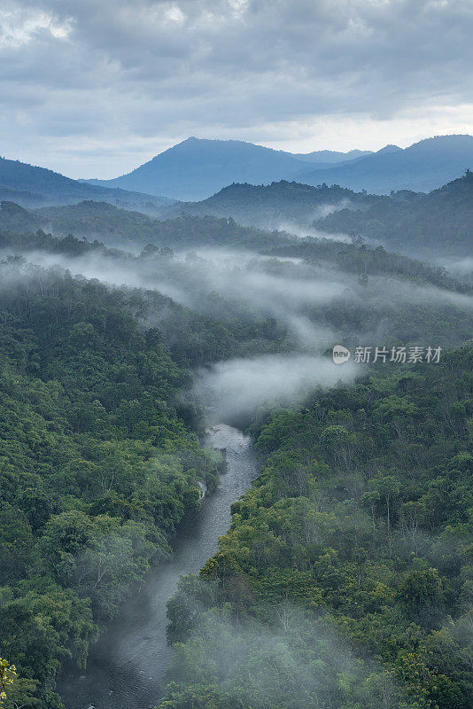 雾蒙蒙的丛林雨林，河流，雾和山脉在早晨从上面延伸。鸟瞰图。