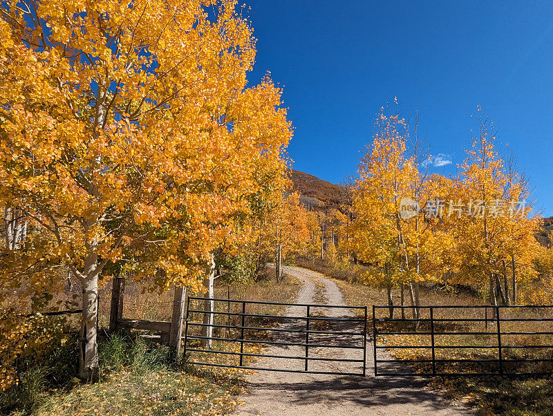 犹他州雪松山上Kolob水库的秋色