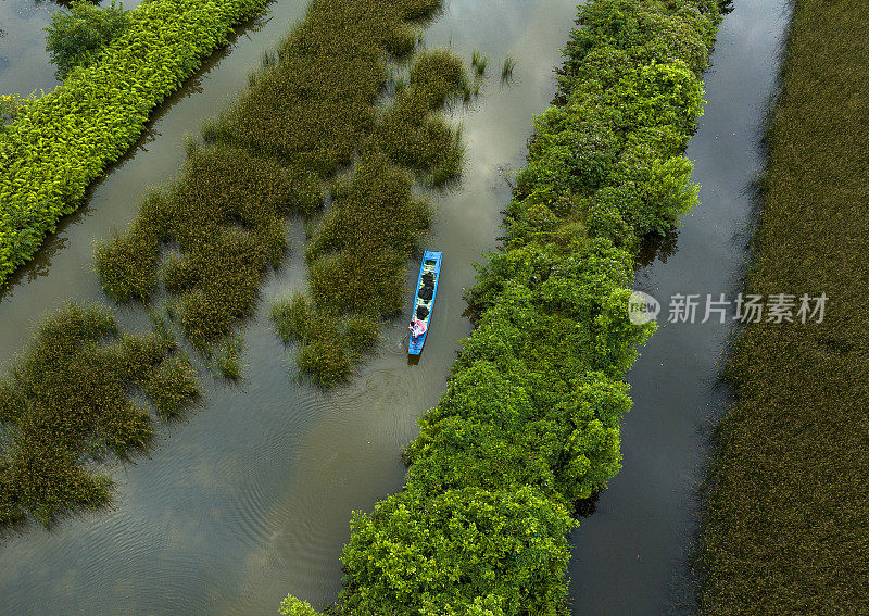 一个农民划着小独木舟参观一个巨大的虾池，金茂省