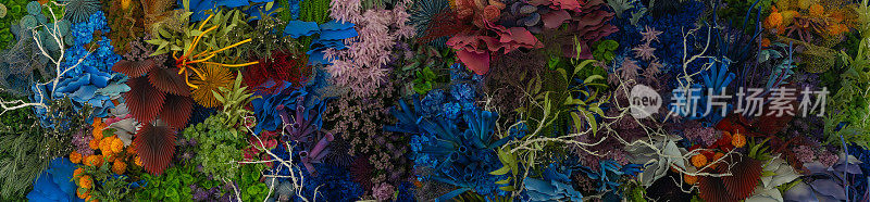 五颜六色的珊瑚礁。活珊瑚背景由玫瑰和许多花