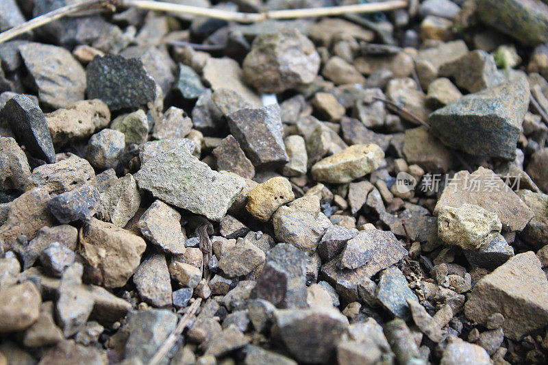 小石头或鹅卵石