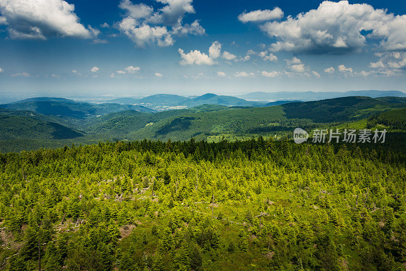 黑森林全景