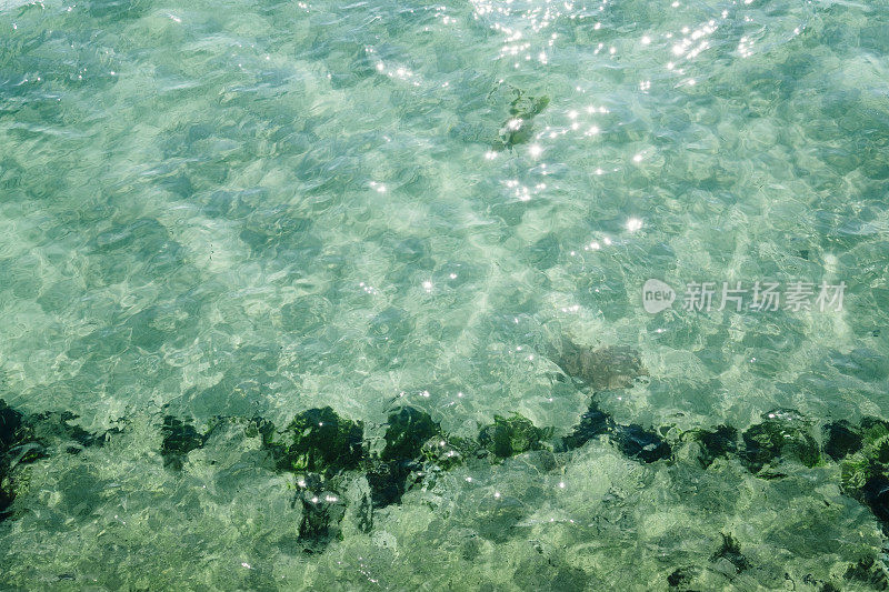 在一个炎热的夏日早晨，康沃尔的纽基，湛蓝的海水波光粼粼。