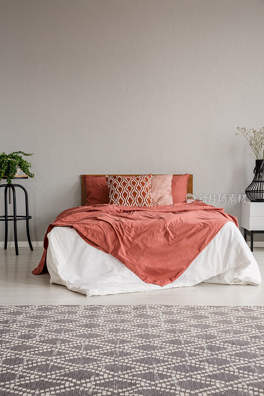灰色卧室内的图案地毯，床上植物之间的红色床单。真实的照片