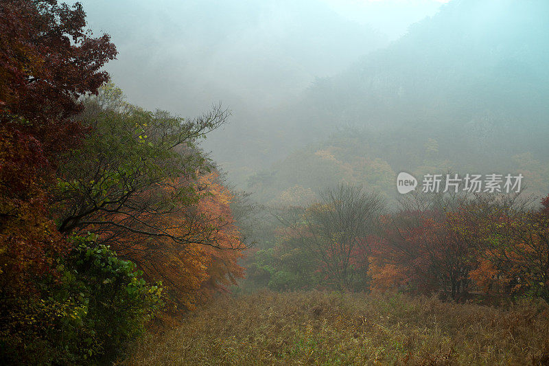 秋日清晨的najang山