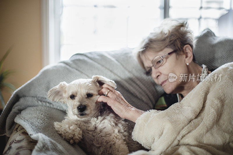 年长的女人和她的狗
