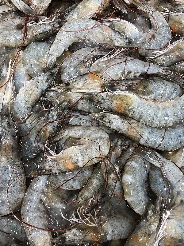 海鲜市场的鲜虾