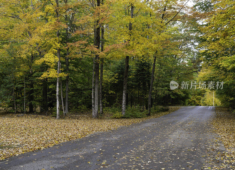 秋季公路旅行，密歇根州