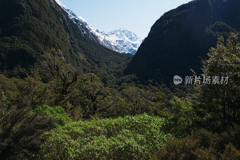 新西兰的风景