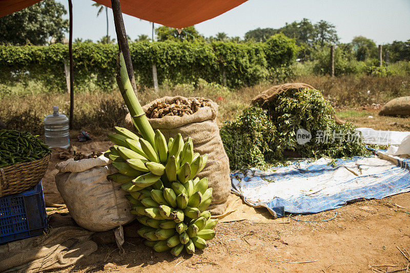 新鲜水果可在农贸市场