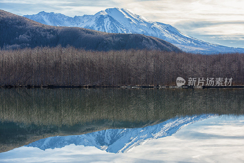 冷水湖上的圣海伦斯山倒影