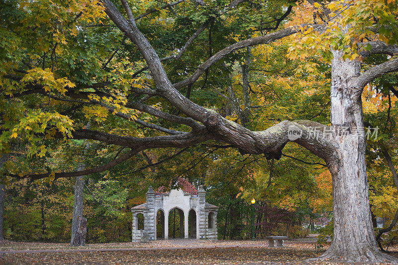 印第安纳大学的秋天的颜色