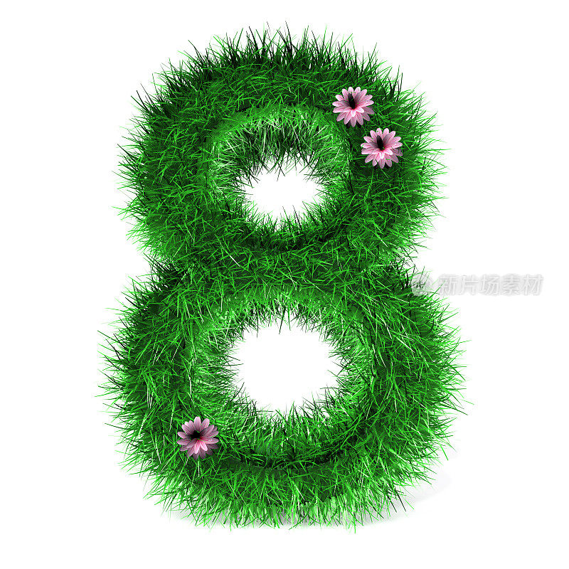 8号草和花