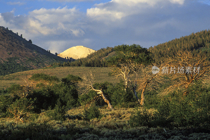 斯威特沃特山