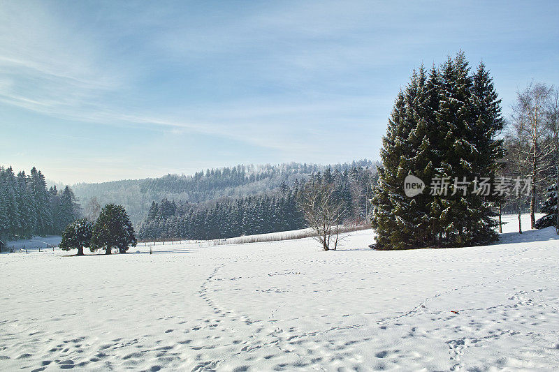 雪域广阔的冬季景观全景