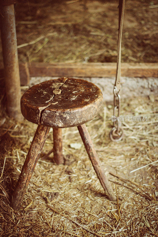 牛棚里的肮脏旧挤奶凳