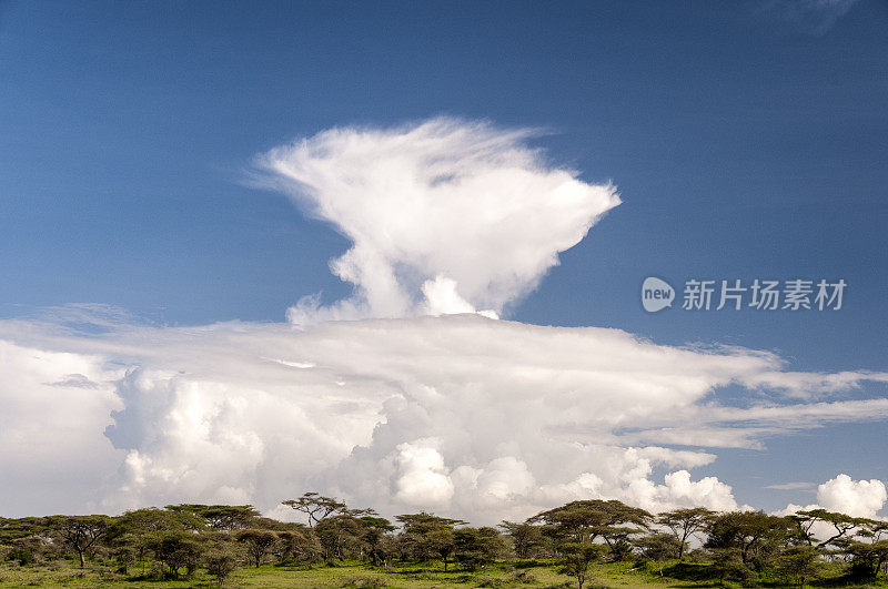 非洲Cloudscape