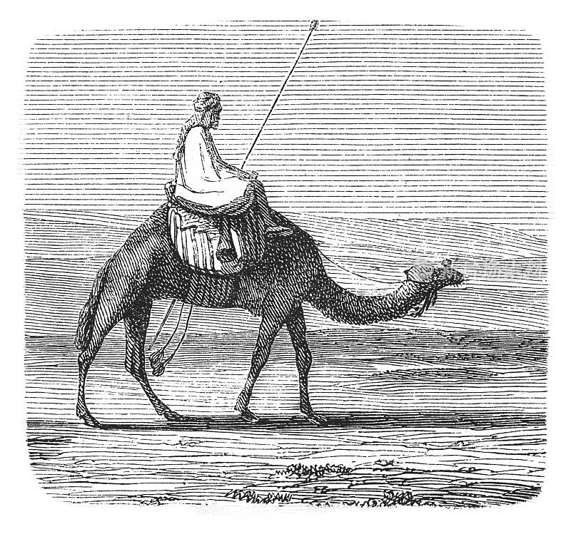 骑骆驼的贝都因人(古董雕刻)