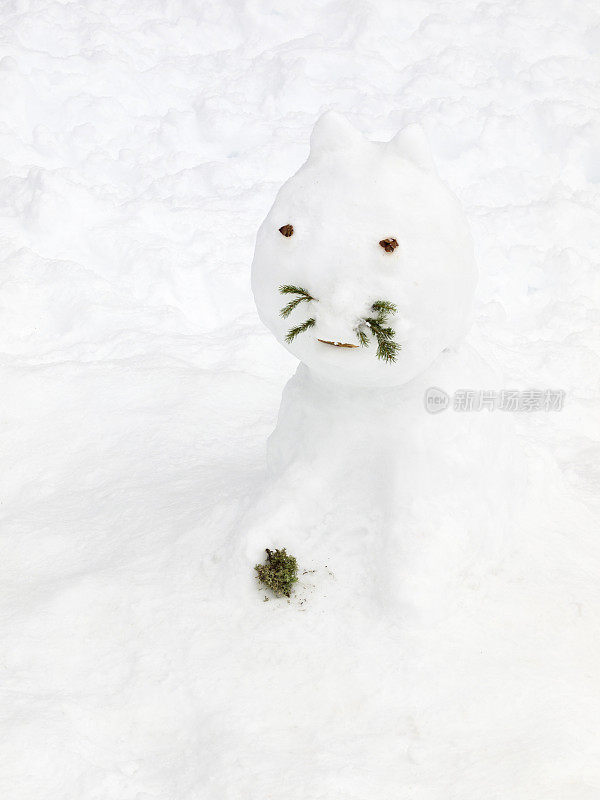 一只用松针做胡须的雪做的猫。