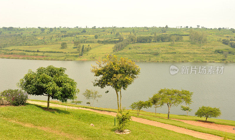 卢旺达:鲁瓦马加纳附近的穆哈奇湖