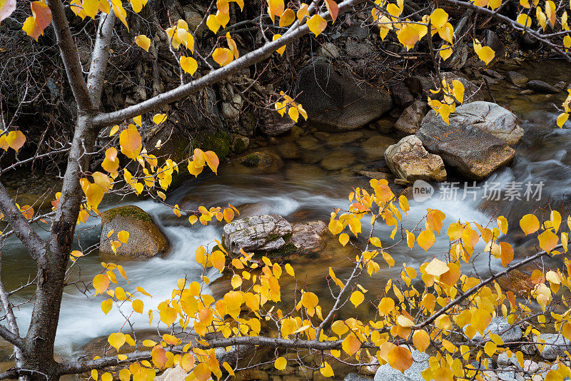 秋叶与流水溪