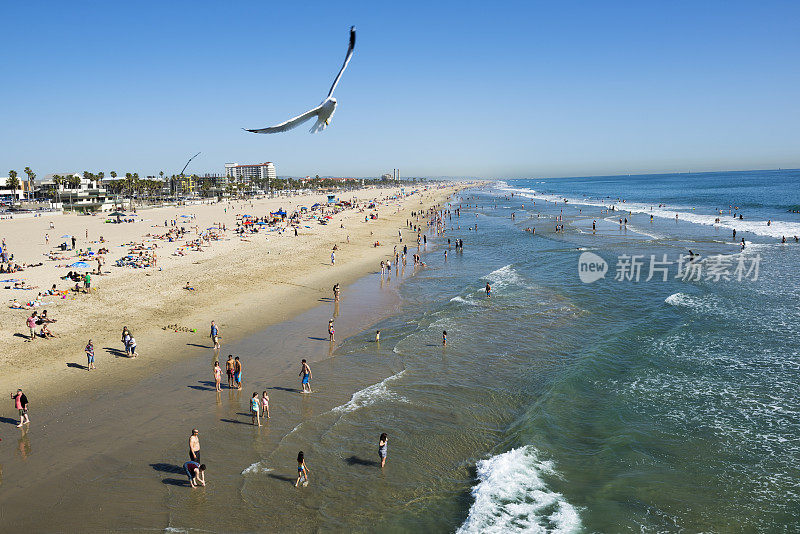 海鸥在亨廷顿海滩上空翱翔，加利福尼亚