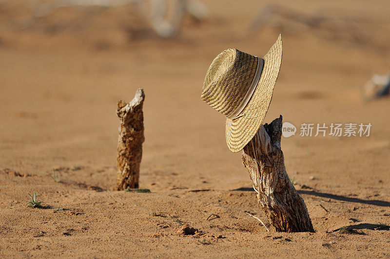 澳大利亚内陆沙漠中的草帽