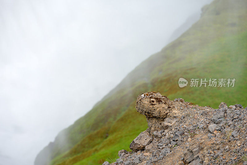 冰岛Gullfoss的蜥蜴状岩层