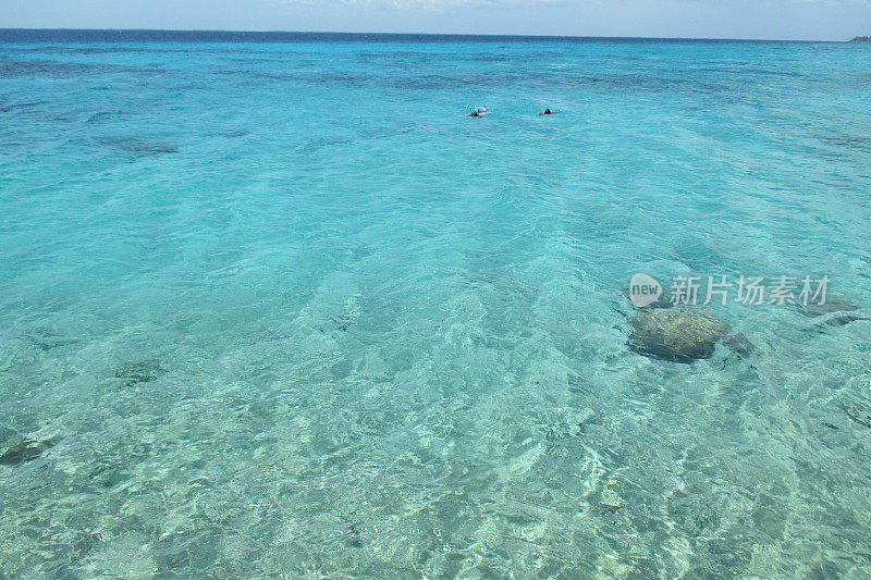 加勒比海潜水