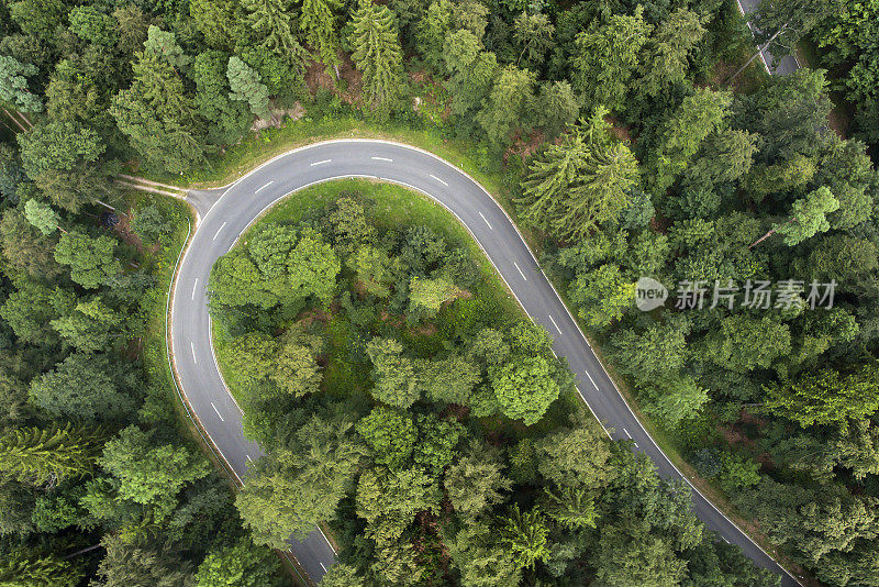 道路在森林里转弯。鸟瞰图。