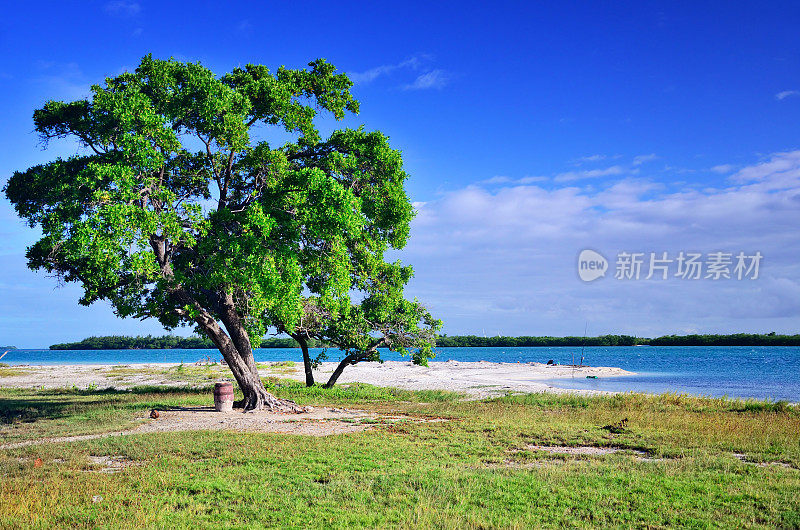 加勒比的海滩