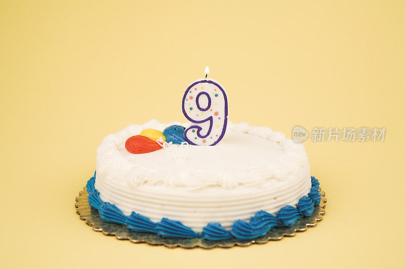 生日蛋糕系列(9)