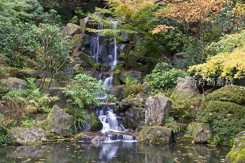 秋天的颜色瀑布池塘日本花园俄勒冈州波特兰